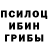 Псилоцибиновые грибы Psilocybe Nerman Qasimov