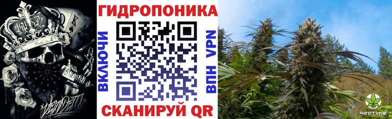 Конопля конопля Ядрин